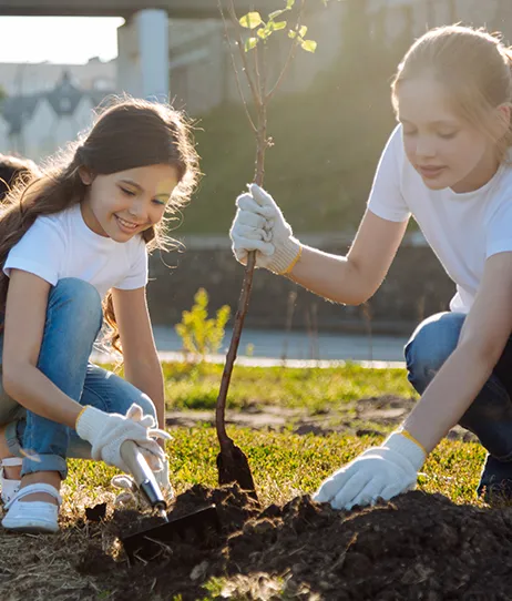 Educação ambiental