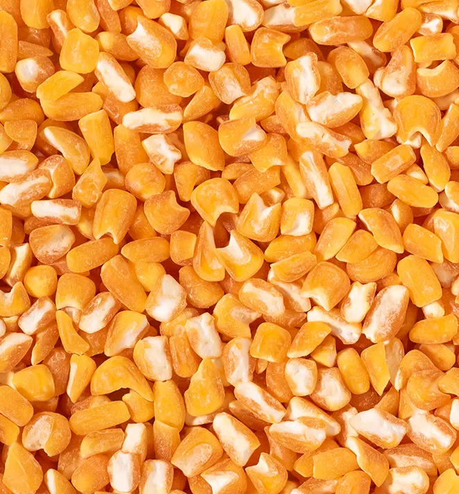Canjica Amarela